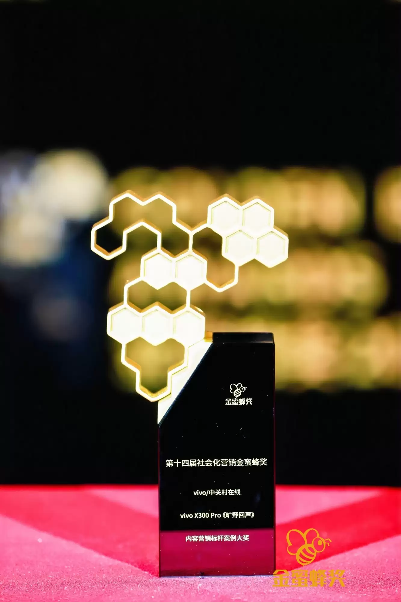 第十四届社会化营销金蜜蜂奖名单公布 中关村在线联合vivo《旷野回声》获奖