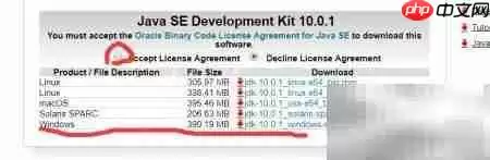 Java SDK下载指南
