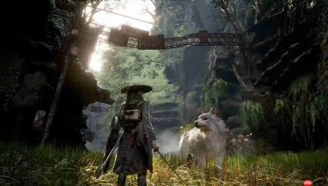 一听音乐就懂了!外媒称《轮回之兽》处处都是《尼尔》的影子