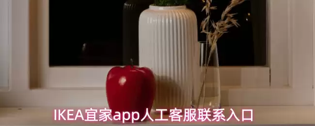 IKEA宜家app人工客服联系入口