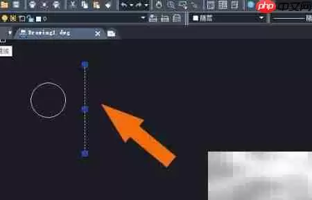 中望CAD2020镜像工具使用技巧