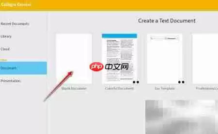 Calligrad文字背景色设置技巧