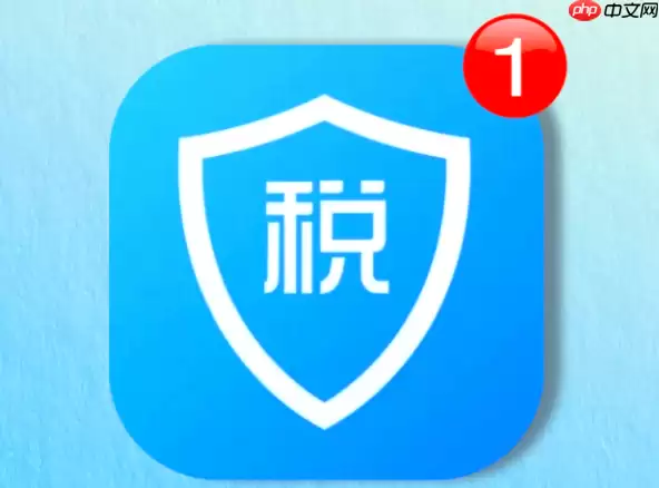 个税APP怎么查询收入纳税明细 个人所得税收入查询方法【手册】