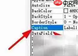 Label标题属性设置方法