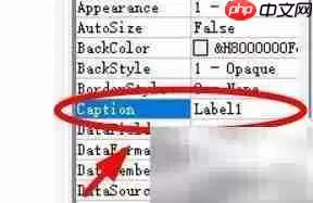 Label标题属性设置方法