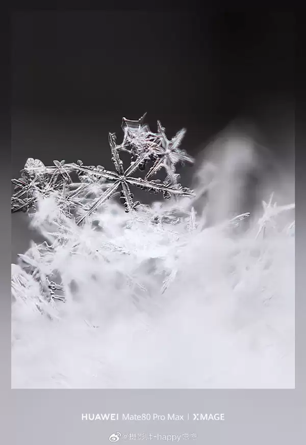 华为Mate80 Pro Max神了!10倍长焦拍雪花 冰晶质感拉满
