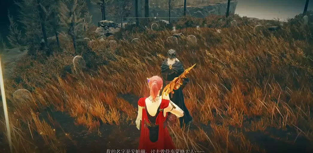 《艾尔登法环》安帕赫套装获取方法