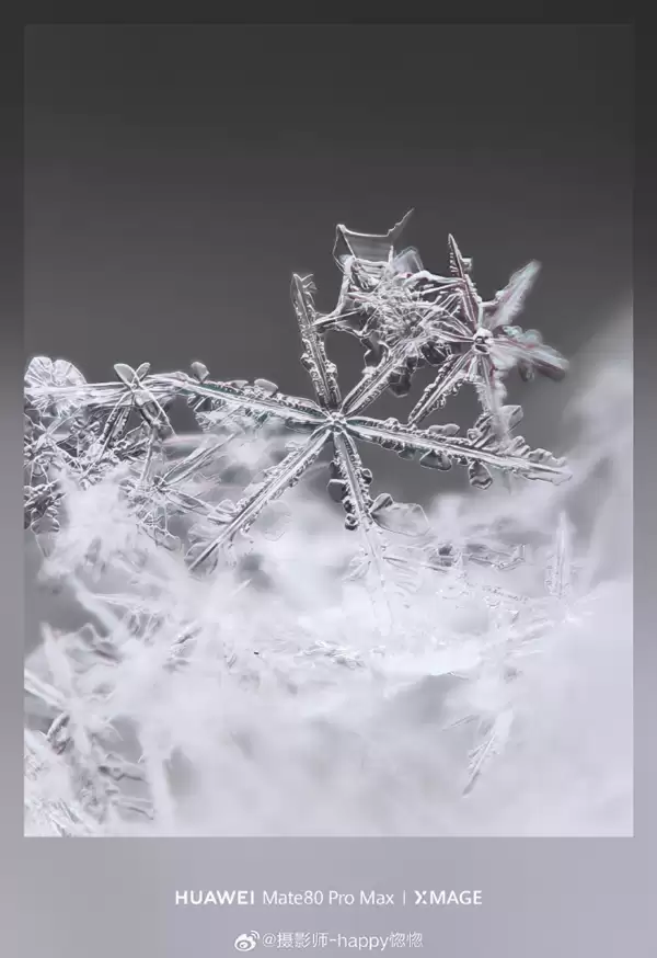华为Mate80 Pro Max神了!10倍长焦拍雪花 冰晶质感拉满