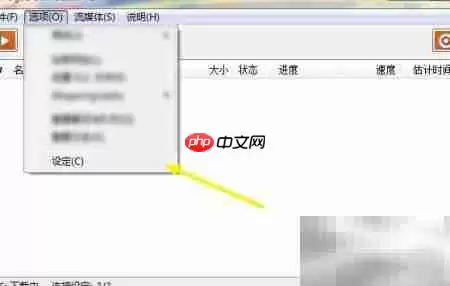 Mega流媒体服务器开启指南