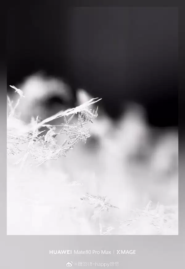 华为Mate80 Pro Max神了!10倍长焦拍雪花 冰晶质感拉满