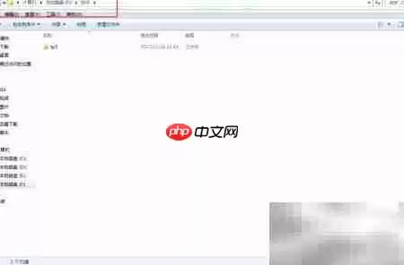 ThinkPHP插件安装指南