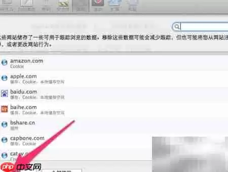 Safari清除Cookies方法