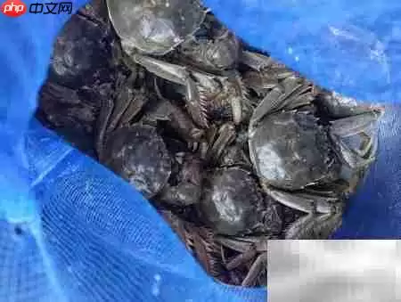 盘锦河蟹的家常做法