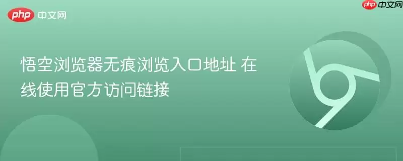 悟空浏览器无痕浏览入口地址 在线使用最新访问链接