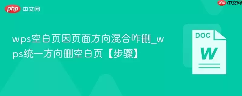 wps空白页面方向混合删除步骤图解