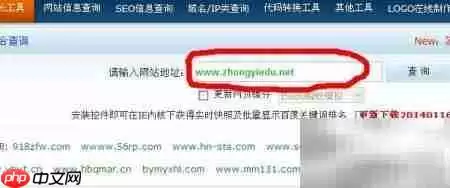 用站长老工具查 基础信息