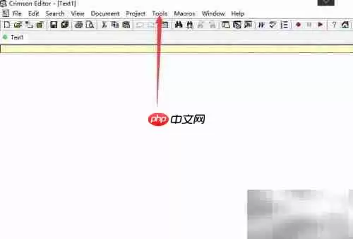 Crimson Editor关闭行号显示