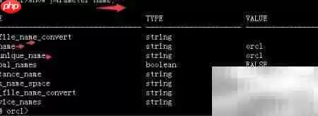 Oracle参数文件管理精要