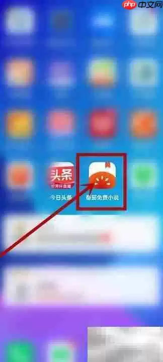 查看番茄小说缓存大小