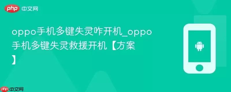 oppo手机多键失灵咋开机_oppo手机多键失灵救援开机【方案】