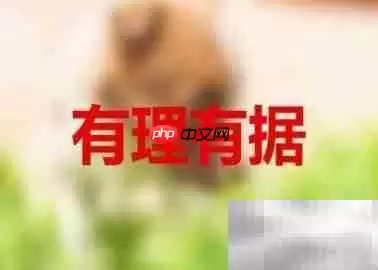 飞单业务员处理策略