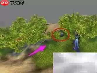 云端翔龙骑士团声望速升指南