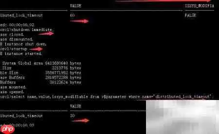 Oracle参数文件管理精要