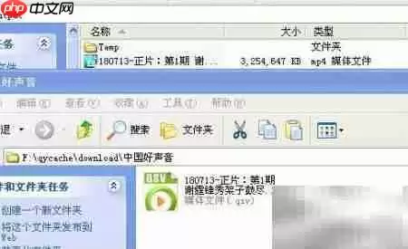 QVS转MPEG4格式转换方法