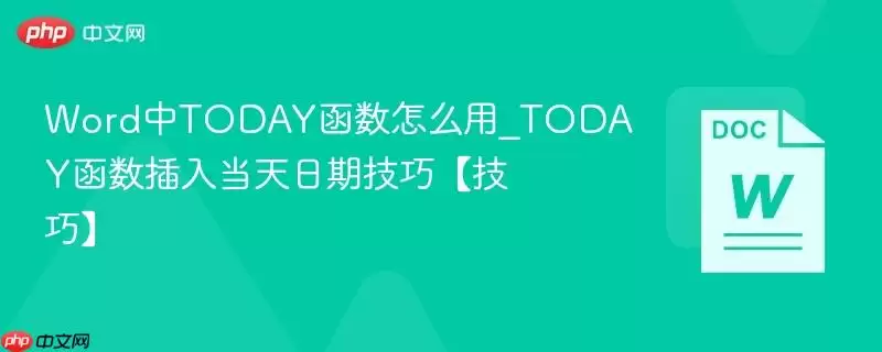 Word中TODAY函数怎么用_TODAY函数插入当天日期技巧【技巧】