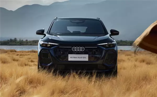 奥迪多地4S店闭店跑路！车主权益成废纸欲哭无泪