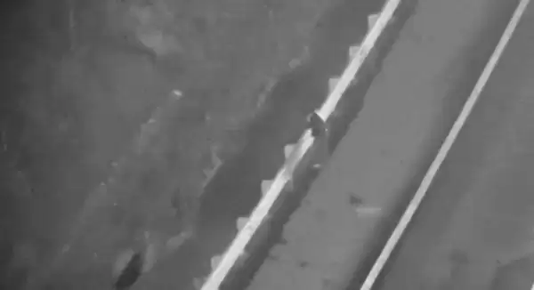 浙江交警用热成像无人机夜间秒寻高速出走男子