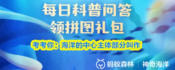 考考你：海洋的中心主体部分叫做