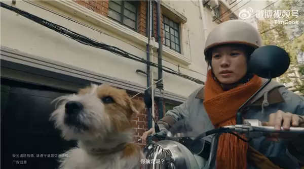 苹果2026新春大片《碰见你》上线 库克：iPhone 17 Pro拍摄 希望大家都喜欢