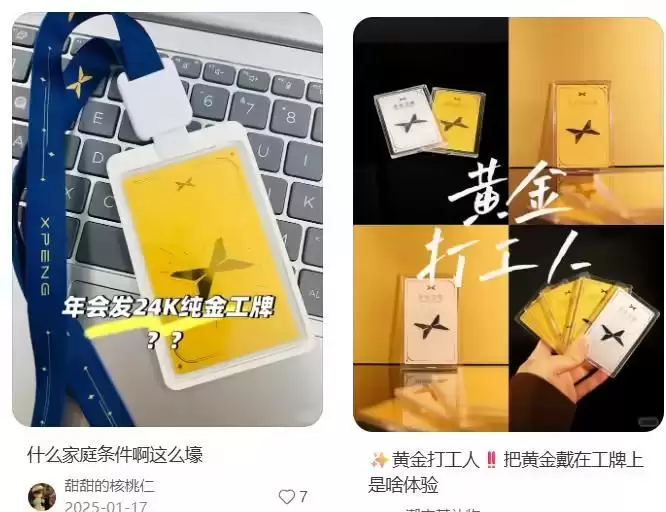 小鹏汽车2025年交付翻倍，2026年会再发黄金工牌