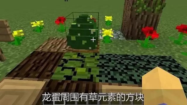 我的世界龙蛋怎么激活孵化