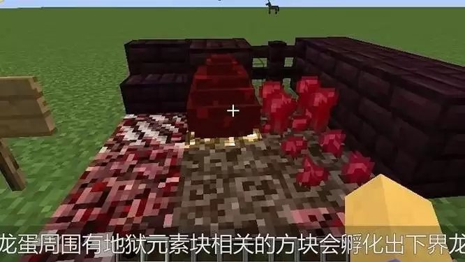 我的世界龙蛋怎么激活孵化