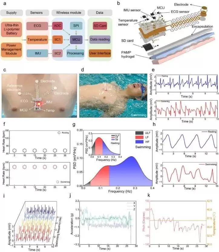 浙大研发水下创可贴柔性电子贴片，突破水下生命体实时监测技术瓶颈