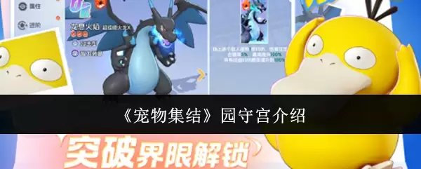 《宠物集结》园林守宫介绍