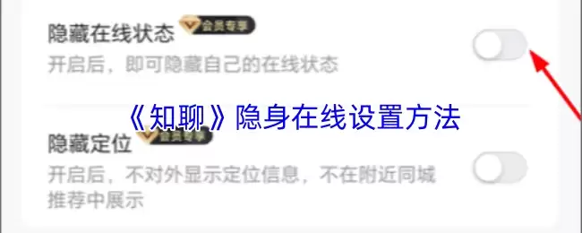 《知聊》隐身在线设置方法