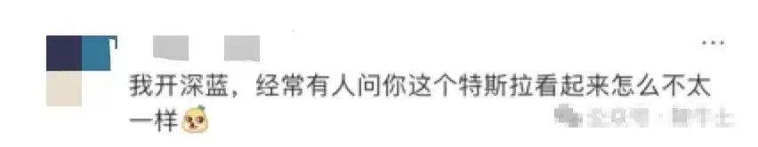 马斯克母亲晒偶遇特斯拉图片,网友:这是深蓝