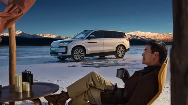 2025车企复购率榜单出炉:比亚迪车主复购率30.55%位居第一