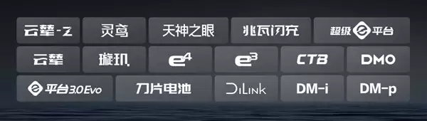 2025车企复购率榜单出炉:比亚迪车主复购率30.55%位居第一