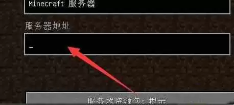 我的世界ip地址怎么输入