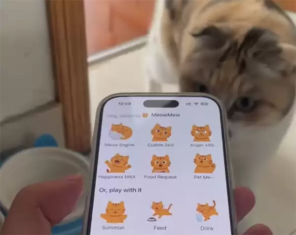 猫咪语言App凭真实养猫经验走红，零广告推广登顶付费榜