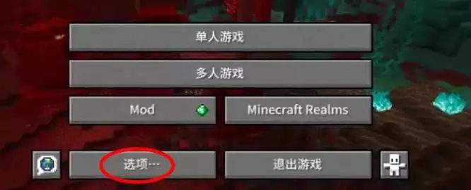 我的世界在哪调分辨率