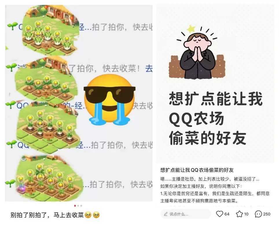 QQ农场回归，玩家为偷菜花式扩列好友