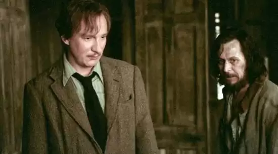 哈利·波特剧集2027年上线，休里斯拒演卢平，弗立维教授由原演员回归