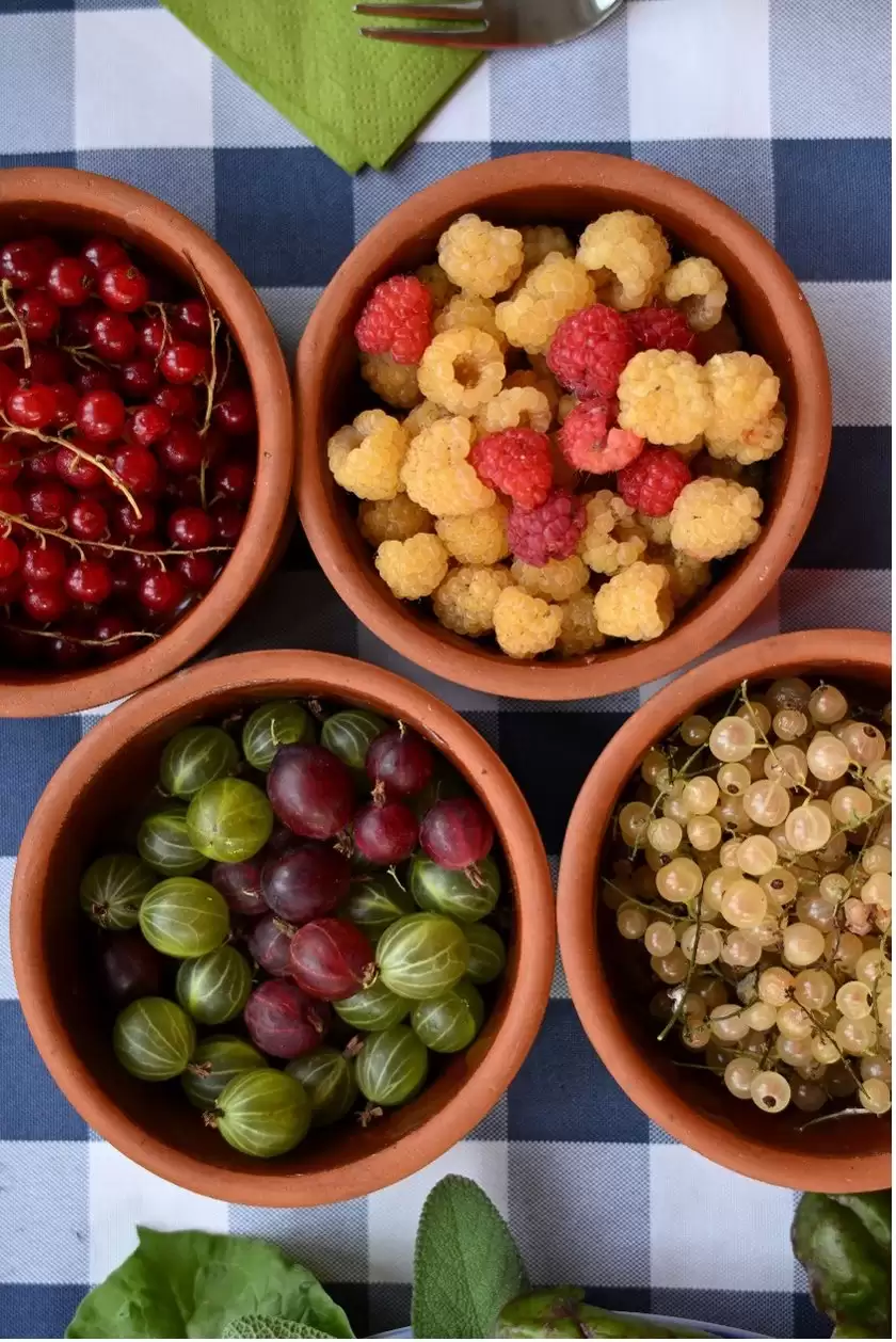 尼康光影绘团圆:让每一张笑脸,成为新年最美注脚 尼康光影绘团圆:让每一张笑脸,成为新年最美注脚