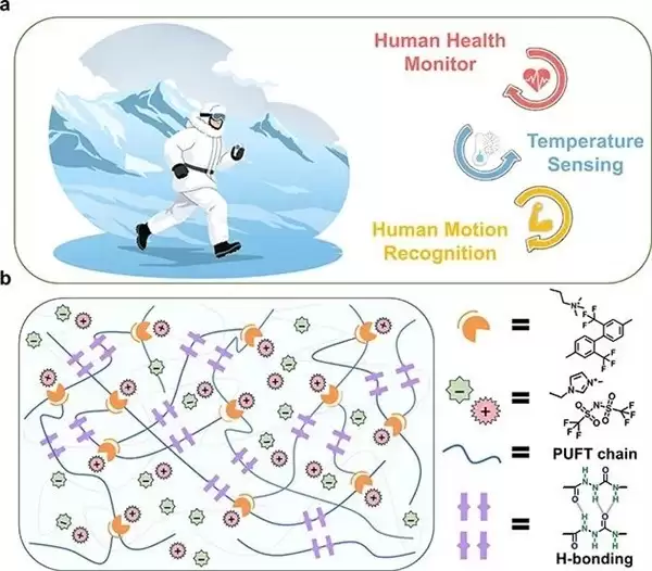 中科院研制出零下40℃仍强韧导电的形状记忆离子皮肤
