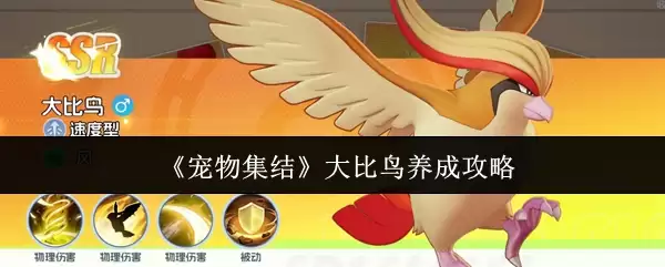 《宠物集结》大比鸟养成攻略